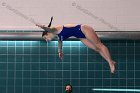 Women's Diving  Wheaton College Women’s Diving vs Mount Holyoke College. - Photo by Keith Nordstrom : Wheaton, Swimming & Diving